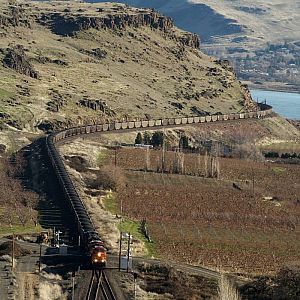 Loaded coal at Maryhill