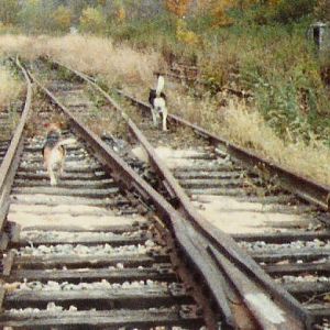 railroad double crossover