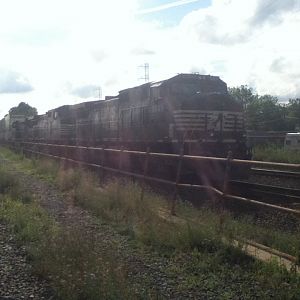 NS 21M in the sunlight