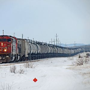 CN Tank Train