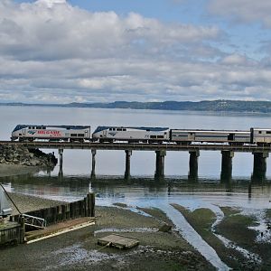 Starlight at low tide