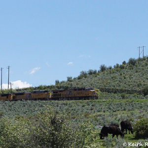 Westbound Manifest