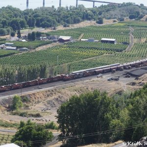 Eastbound Manifest and Eastbound Grain