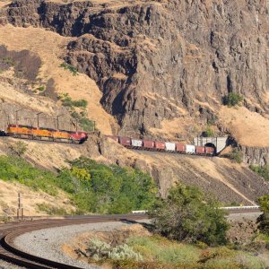 Oregon Trunk Elephants.jpg