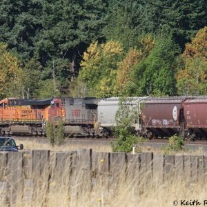 Westbound Grain Train