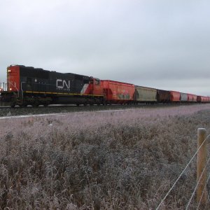 CN 541 10-11-23