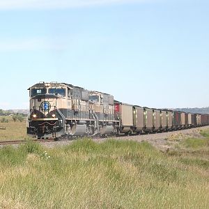 Colorado Joint Line Train