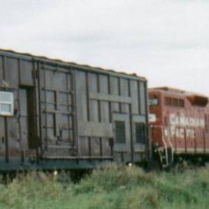 CP test train
