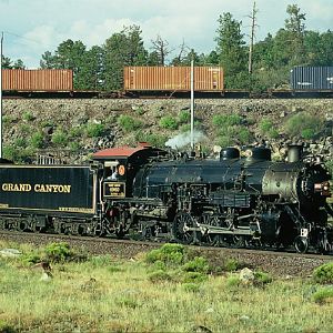 Grand Canyon Railway under BNSF