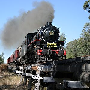 Trestle near Gurulmundi