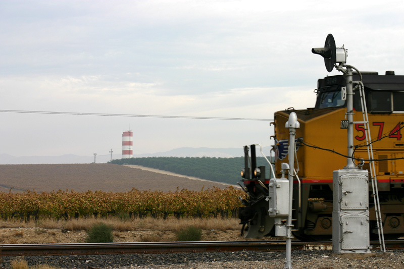 Fall Colors in the San Joaquin Valley