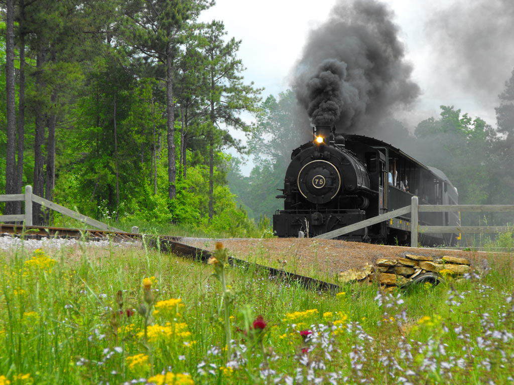 Flagg Coal 75 On The Calera & Shelby Railway In Alabama