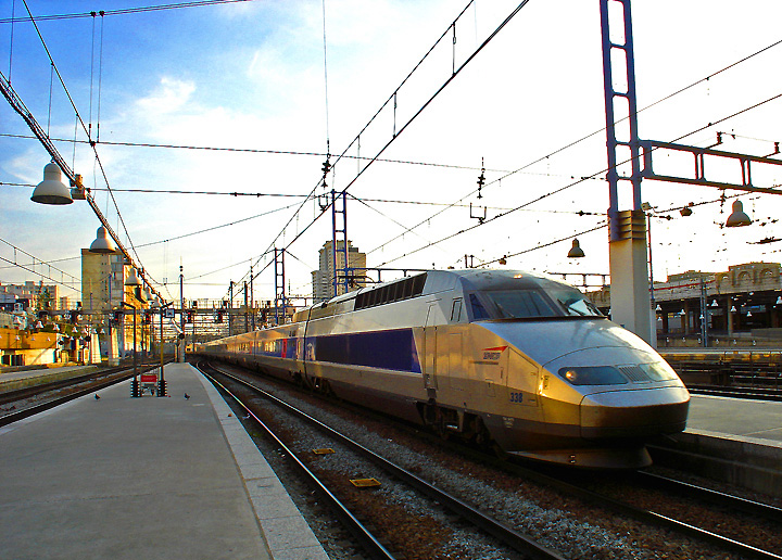 TGV 338