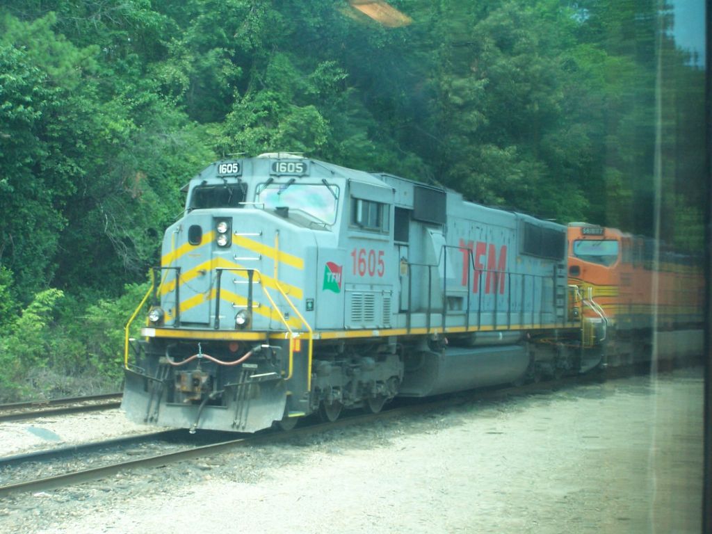 Trans Ferrovia Mexicana