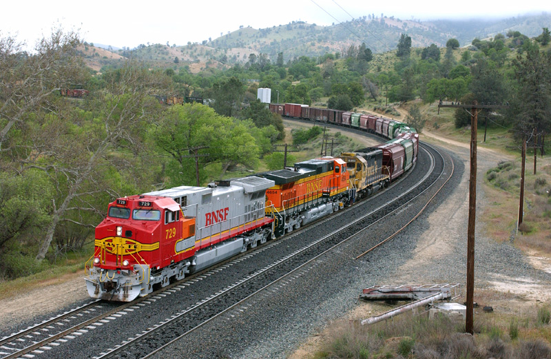 Warbonnet at Woodford